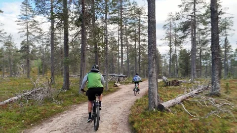 Father and son mountain biking down Ylläs fell in Lapland Stock Footage 333070623