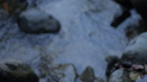 Father and son pass a stream Stock Footage 89883065