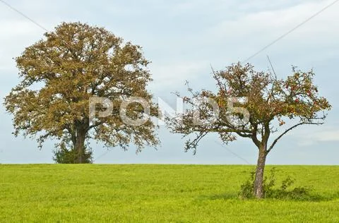 Father and son Stock Photos