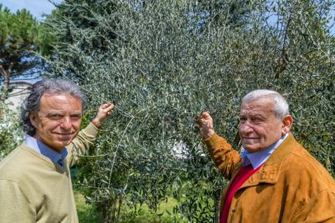 Father and son Stock Photos
