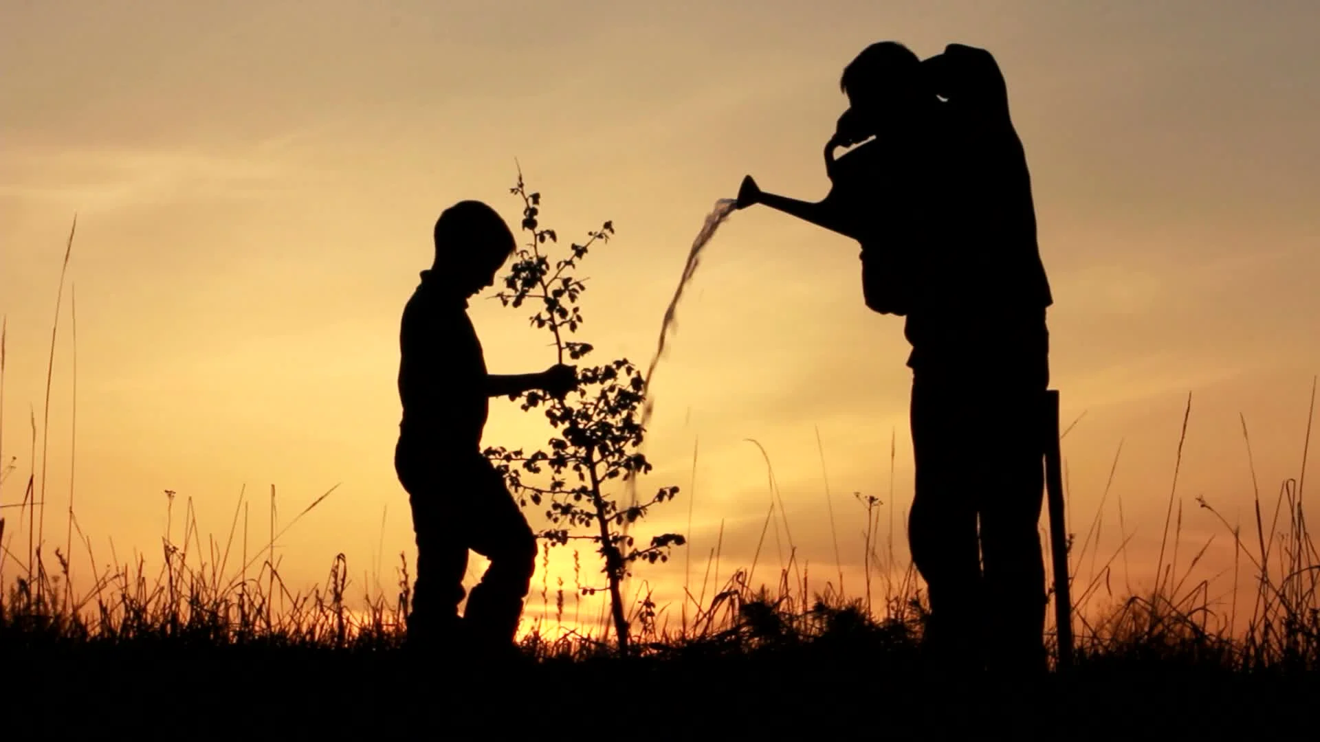 Father And Son Planting A Tree Sunrise Silhouette Spring.