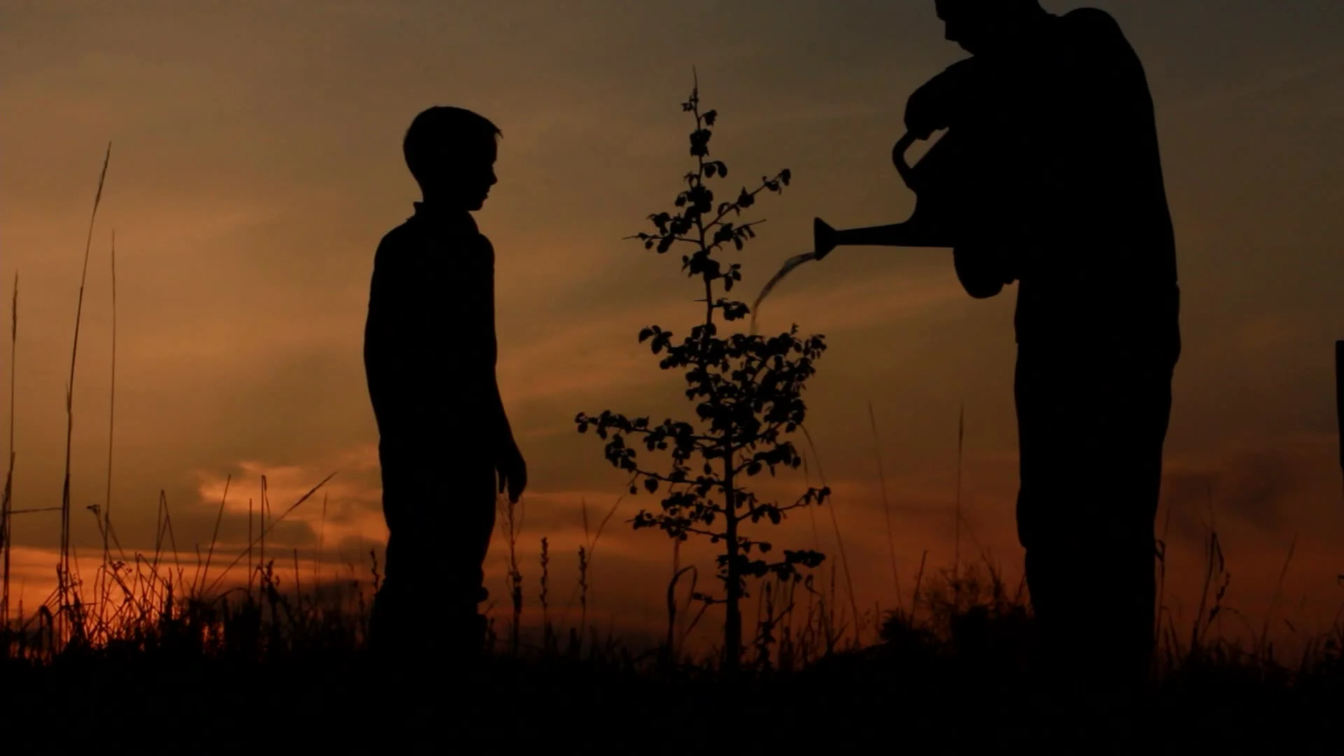 Father And Son Planting A Tree Sunrise Silhouette Spring Clip