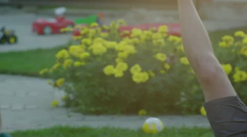 Father and Son Playing on the Backyard Lawn Stock Footage 56258641