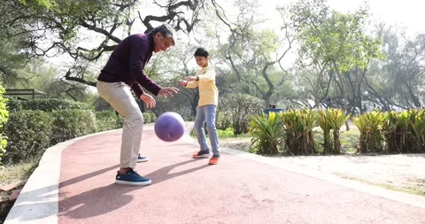 Father and son playing with ball at park Stock Footage 169913892
