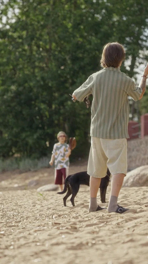 Father and Son Playing Baseball with Dog on Sunny Beach Stock Footage 340256516