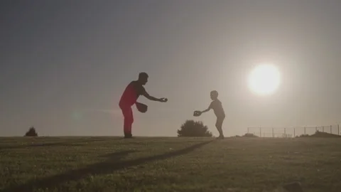Father and Son Playing Catch at the Park Stock Footage 208805082