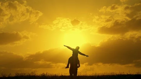 Father and son playing in the evening sky silhouette Stock-Footage 75228359