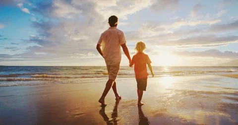 Father and Son Playing Stock Footage 81246486