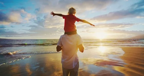 Father and Son Playing Stock Footage 81247322