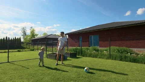 Father and Son Playing in Sunny Backyard with Ball and Frisbee on Green Lawn Stock Footage 336472302