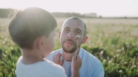 Father and son playing, touch the nose by dandelious on the field during sunset Stock Footage 133322058