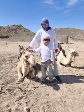 Father and son posing with resting camels in a sun drenched desert landscap.. Stock Photos
