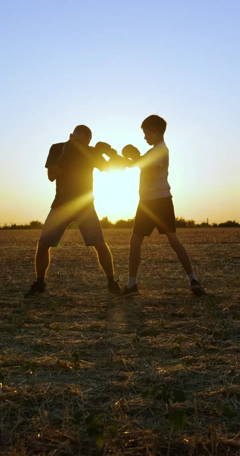 Father and son practice boxing together in open field. They train with gloves Stock Footage 344108633