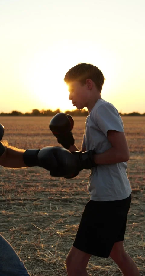 Father and son practice boxing in sunlit field. They share boxing training with Stock Footage 346753483