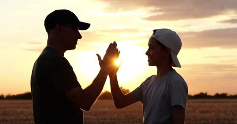 Father and son share high five in golden sunset field. Family bonding shows Stock Footage 346753045