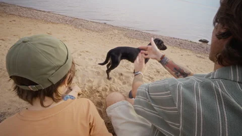 Father and Son Sitting on Sandy Beach and Playing with Pet Dog Stock Footage 340257122