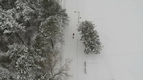 Father and son sledging Stock Footage 101381039