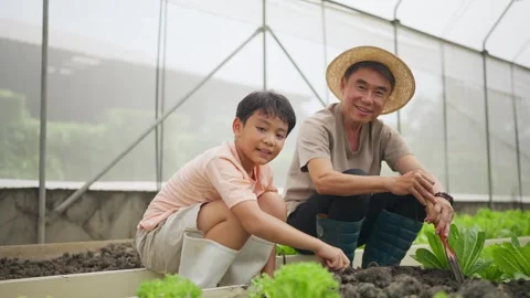 Father and son smile while tending plants together 스톡 동영상 346280187