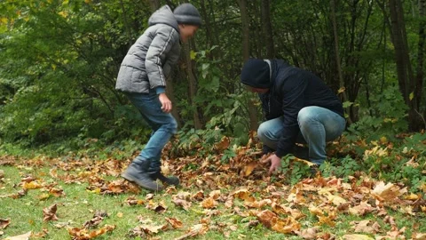 Father and son throw fallen leaves at each other. autumn fun in the park. golden Stock Footage 168530837