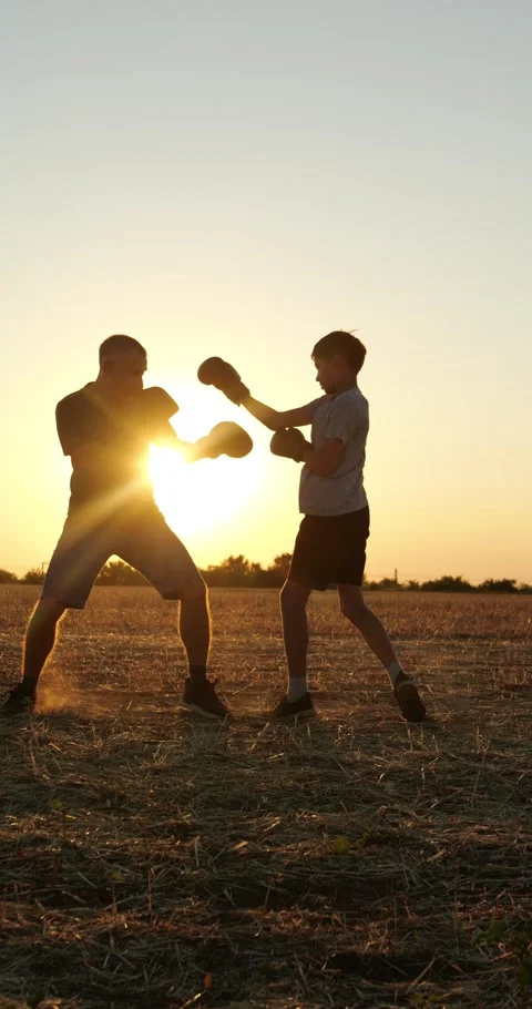 Father and son train with boxing gloves in rural field at sunset. Dad and teen Stock Footage 344998411