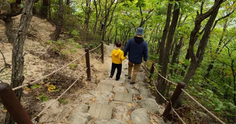 Father and son walking down rough stony path in woods, return from Ulsanbawi Stock Footage 304077567