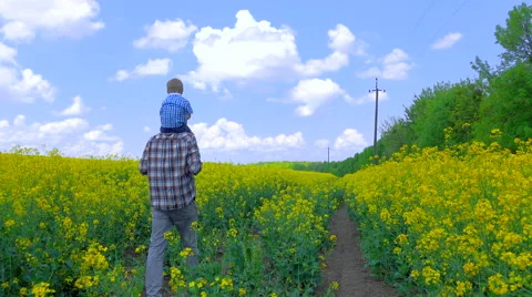 Father and son walking in field Stock Footage 62958058
