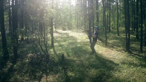 Father and Son Walking on the Forest Stock Footage 81139908