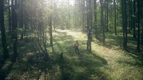 Father and Son Walking on the Forest Stock Footage 81151570