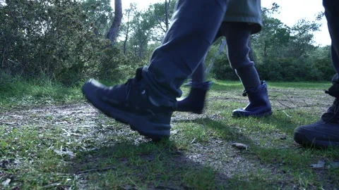 Father and Son Walking Through Forest - Nature Discovery Series Vídeos de archivo 326173869