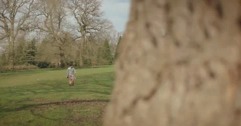 Father and son walking towards old tree Stock Footage 60793843
