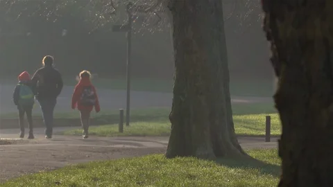 Father and sons walking through park Stock Footage 124532680