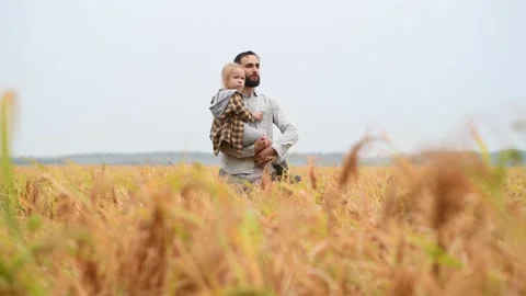 Father carrying daughter while walking through a golden autumn field 库存影片 284970058