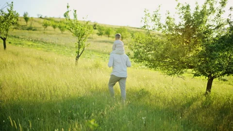 Father Carrying Son on Shoulders Through Sunny Orchard Meadow Stock Footage 336331867
