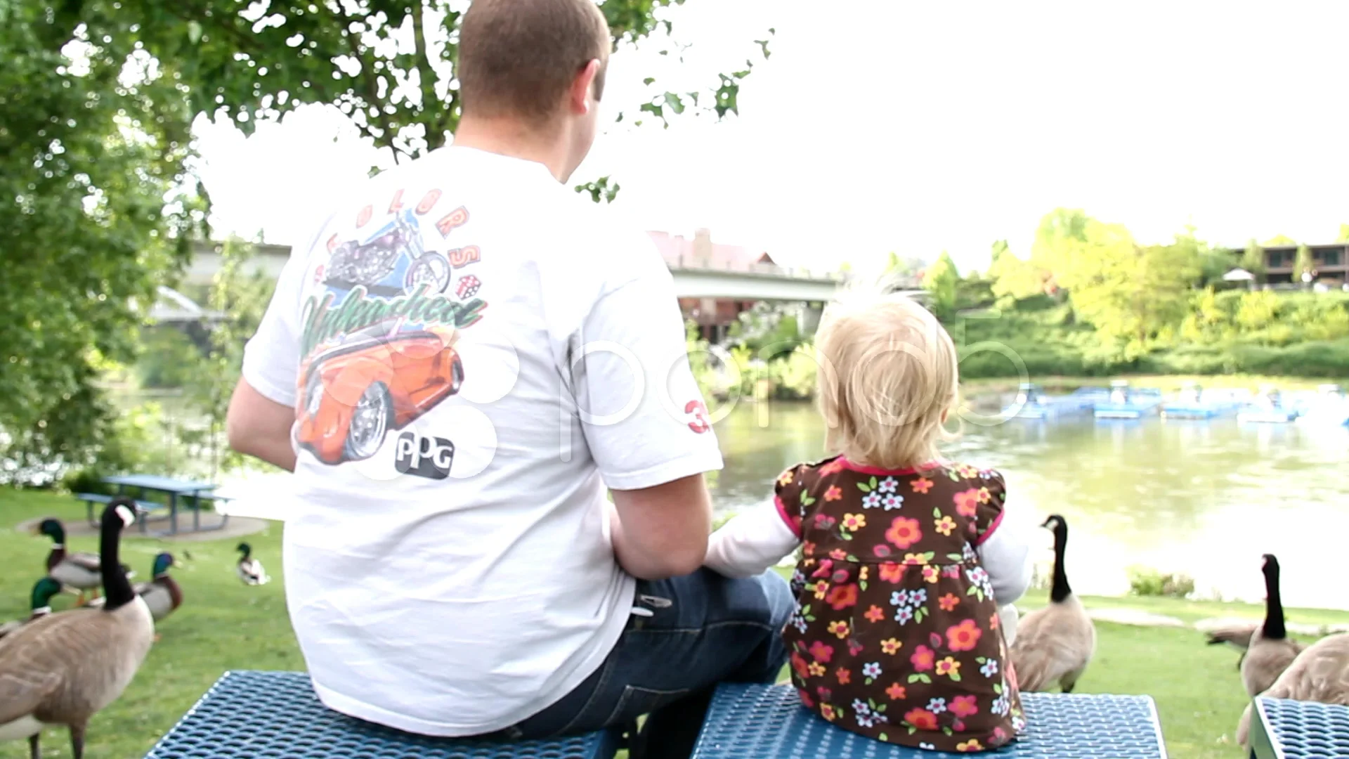 father daughter feeding ducks