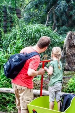 Father explaining daughter monkeys in the zoo Stock Photos