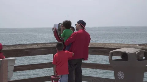 Father Helping Sons View on Deck Stock Footage 113298192
