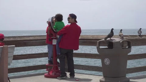 Father Helping Sons View Observation Deck Binocular viewer in observation deck Stock Footage 112893893