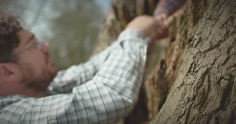 Father helps son down from tree Stock Footage 60793907