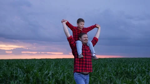 Father joy carrying son in fields, matching shirts create connection, open Stock Footage 313906976