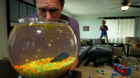 Father Looking at Pet Fish While Son Plays In Background Stock Footage 95954558