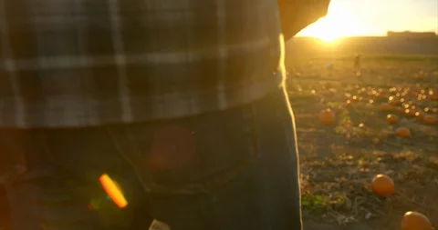 Father picking pumpkins with his two sons. Stock Footage 88373428