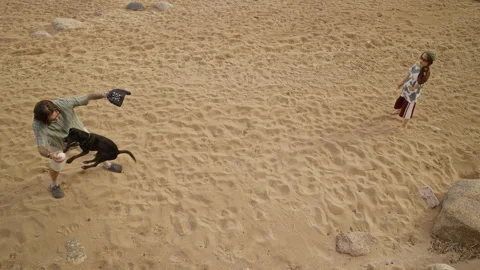 Father Playing Baseball with Son, Black Dog on Sandy Beach Stock Footage 340259684