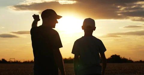 Father points toward sky while talking to son in open field at sunset Stock Footage 346691087