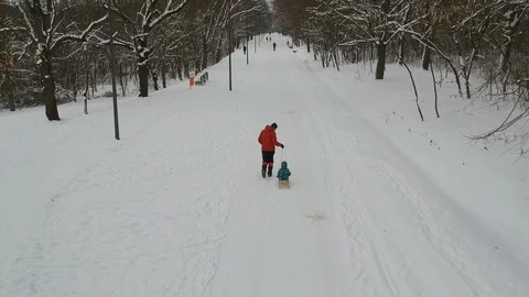 Father pulling his son in sled Stock Footage 101383036
