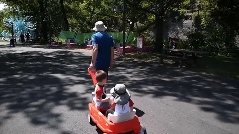 Father is pulling a red wagon with two children walking down a valley in park Stock Footage 114515724