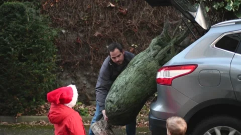 Father pulls a Christmas tree out of the trunk Stock Footage 139116578