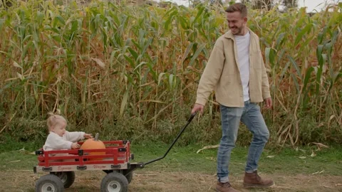 Father pulls daughter in wagon in cornfield 库存影片 219405164