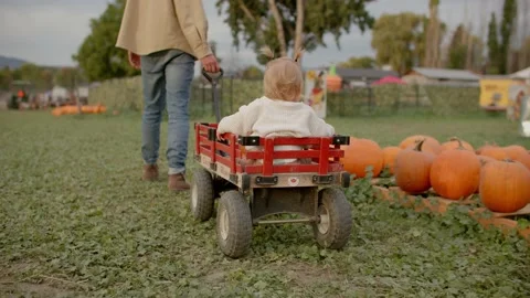 Father pulls daughter in wagon through pumpkin patch 库存影片 219405207