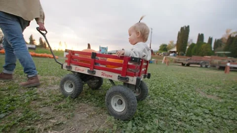 Father pulls daughter in wagon through pumpkin patch, golden hour 库存影片 219405332