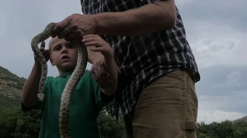 Father shows son a large snake and lets him hold it. Stock Footage 79019822